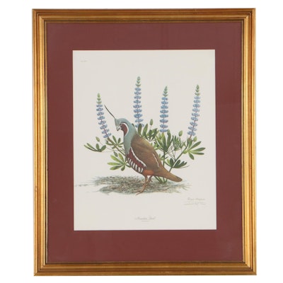Ray Harm Offset Lithograph "Mountain Quail," Late 20th Century