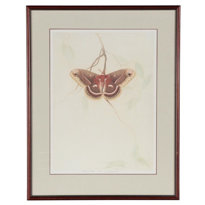 John Parker Sherrod Offset Lithograph "Cecropia Moth," Late 20th Centrury