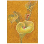 Chien Ming Su Pastel Drawing of Calla Lilies, Late 20th Century