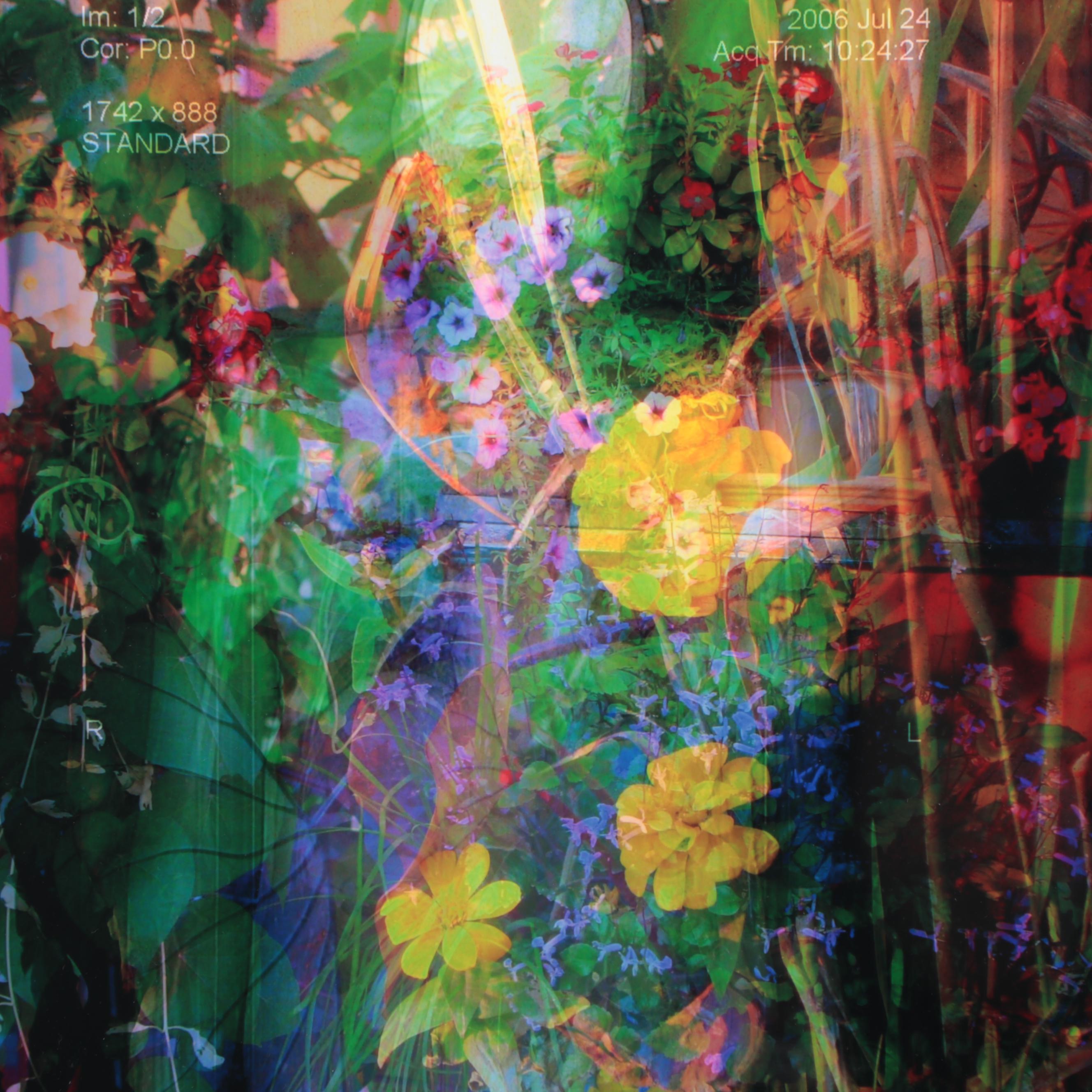 Sarah Roush Digital Collage, 2008 | EBTH