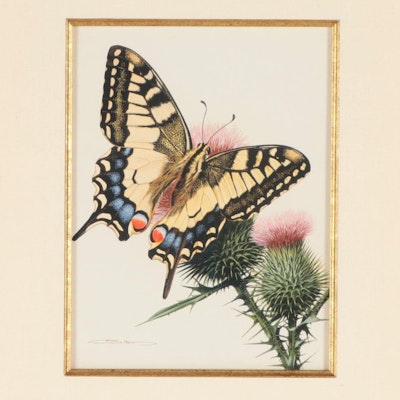 Carl Brenders Gouache Painting of Old World Swallowtail Butterfly