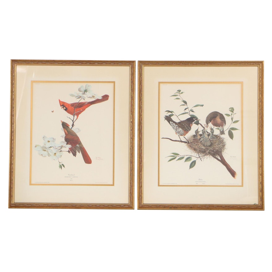Ray Harm Offset Lithographs of Birds