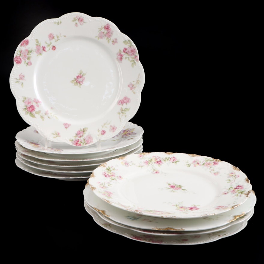 Haviland & Co. Limoges Floral Porcelain Dinner Plates