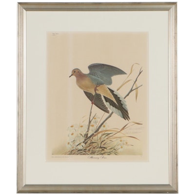 John Ruthven Offset Lithograph "Mourning Dove," 1971