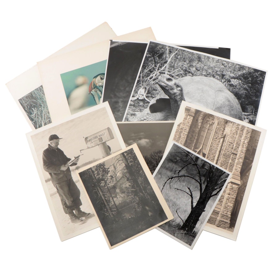 Wildlife Photographs Including Grant Haist and More, Mid-20th Century