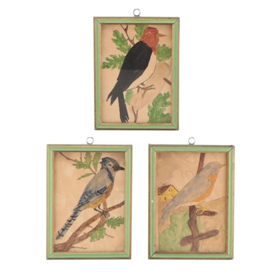 Watercolor Paintings of Birds