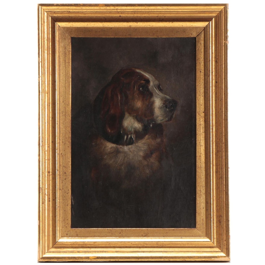 Oil Painting of Irish Red and White Setter, Early to Mid-20th Century