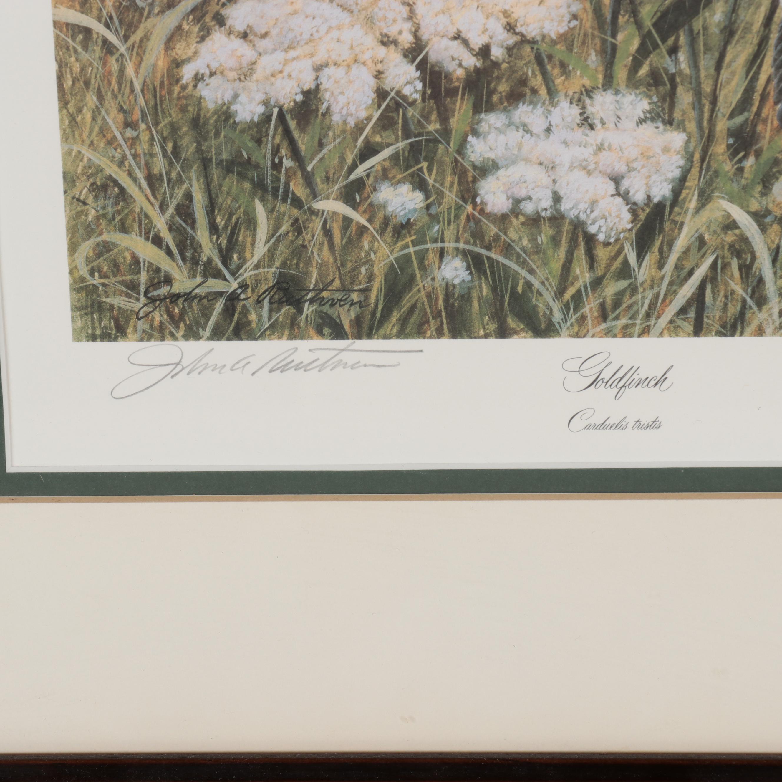 John A. Ruthven Offset Lithograph "Goldfinch," Late 20th Century EBTH