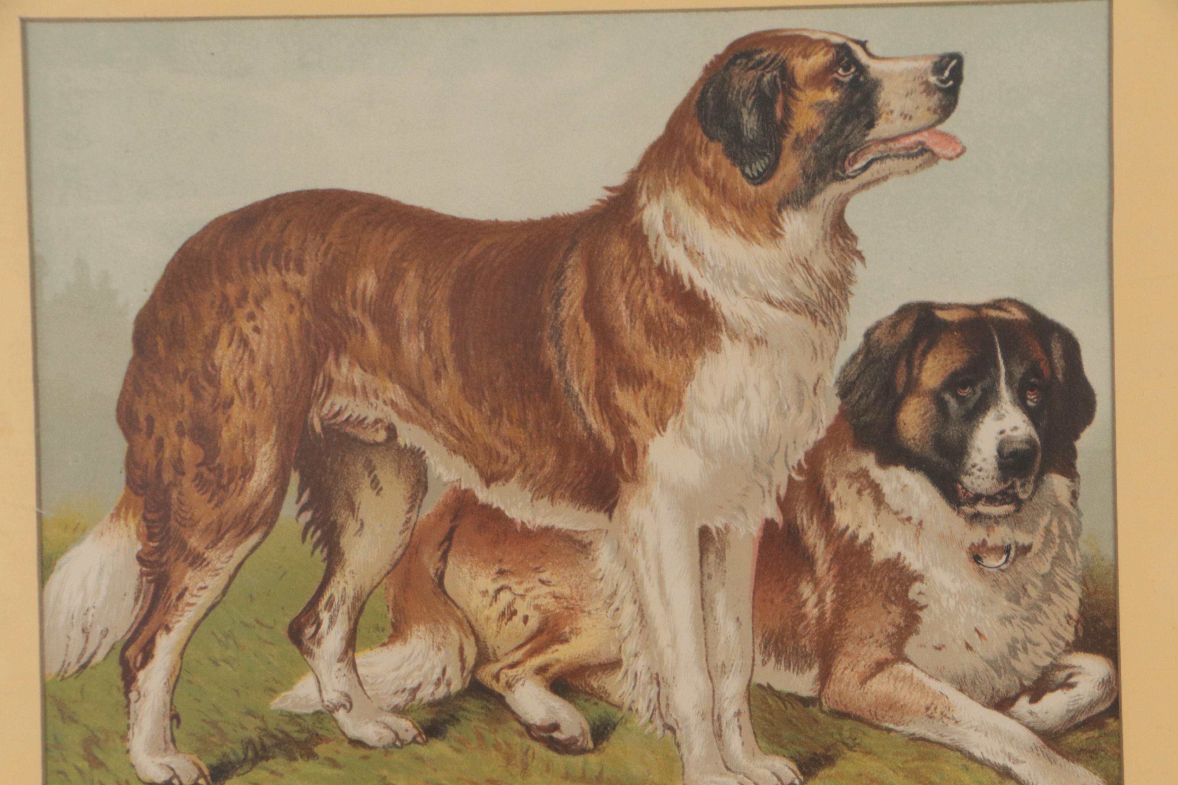 Vincent Brooks Day & Son Lithographs of Dogs EBTH