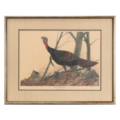 Offset Lithograph After John Ruthven "Eastern Wild Turkey"