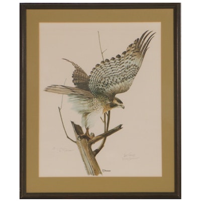 R. Dorman Offset Lithograph of a Hawk for the University of Iowa