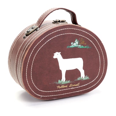 "Polled Dorset" Hand-Painted Leather Box Purse