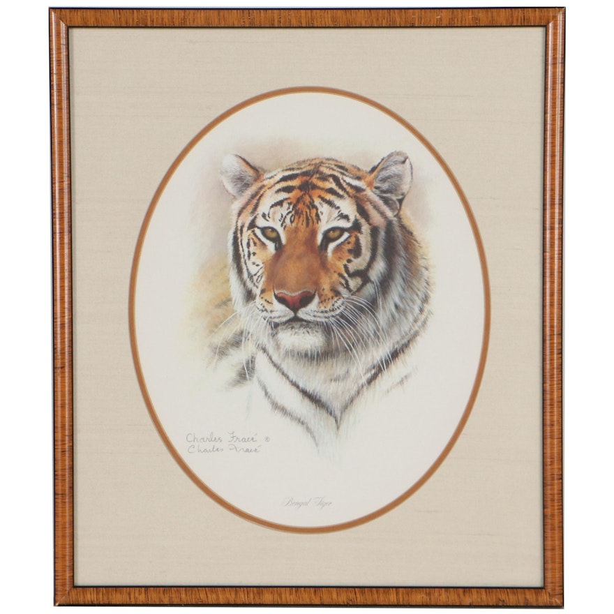 Charles Fracé Offset Lithograph "Bengal Tiger," Late 20th Century