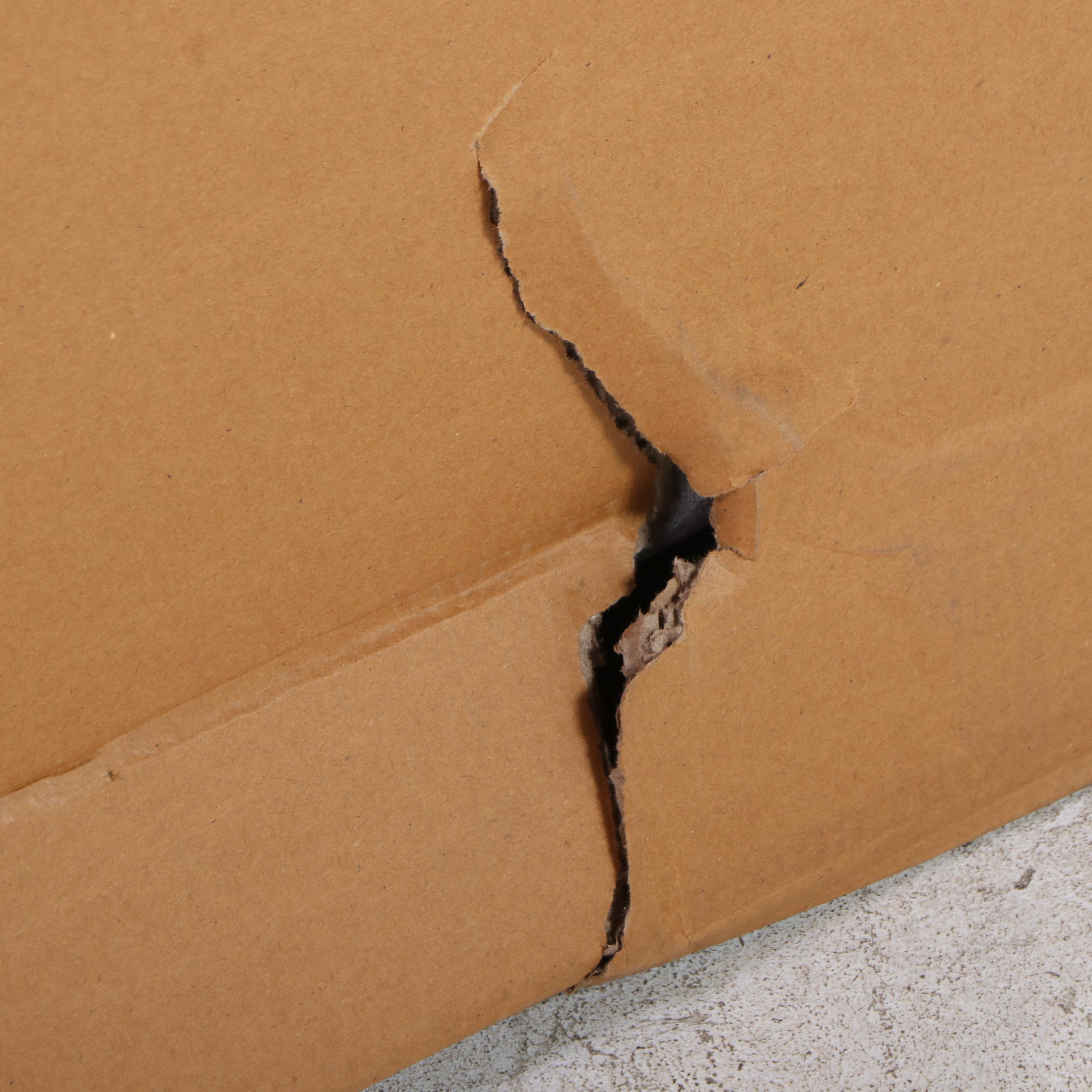 Opalhouse "Lumarco" Woven Bench in Natural EBTH