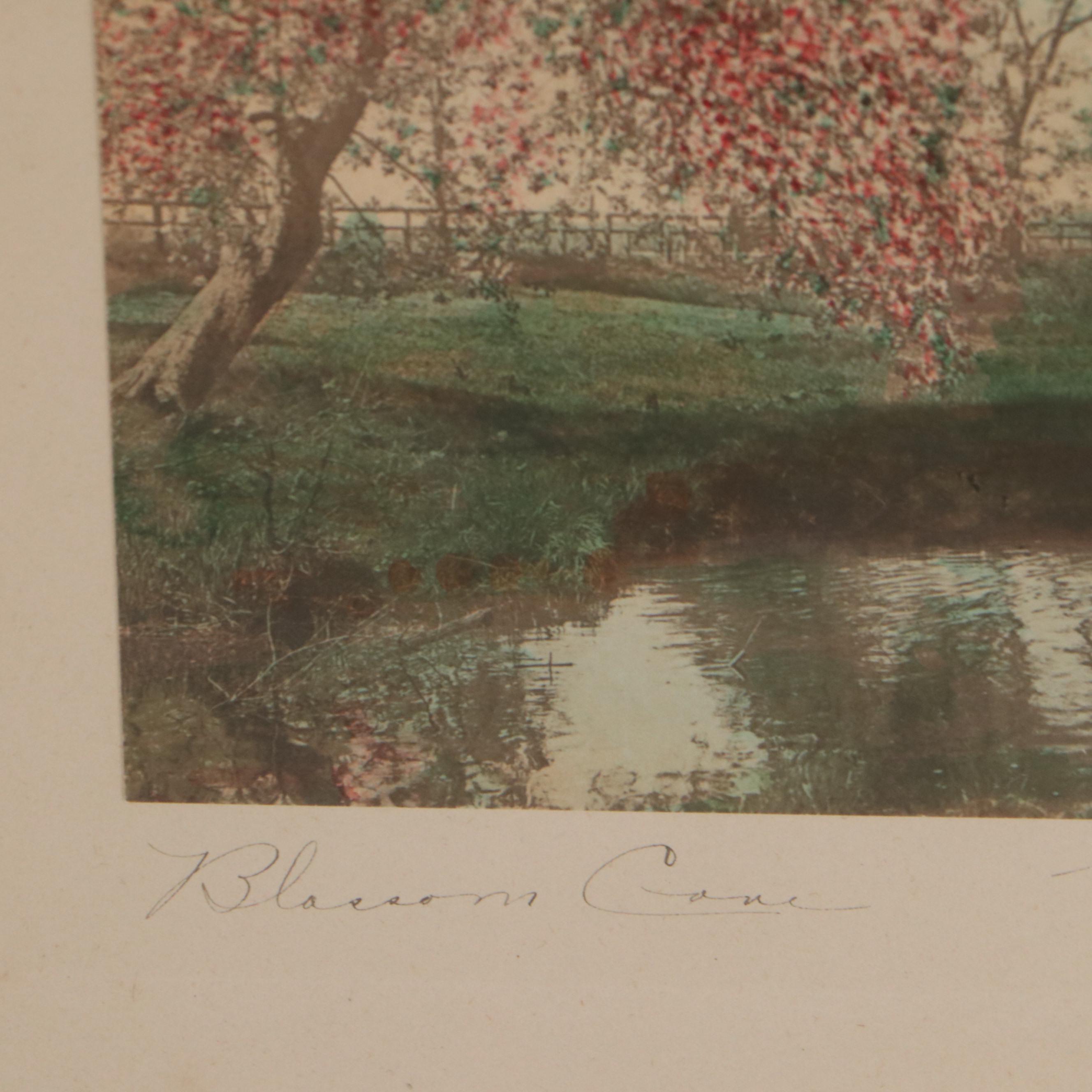 Wallace Nutting HandColored Photographs Including "Hollyhock Cottage