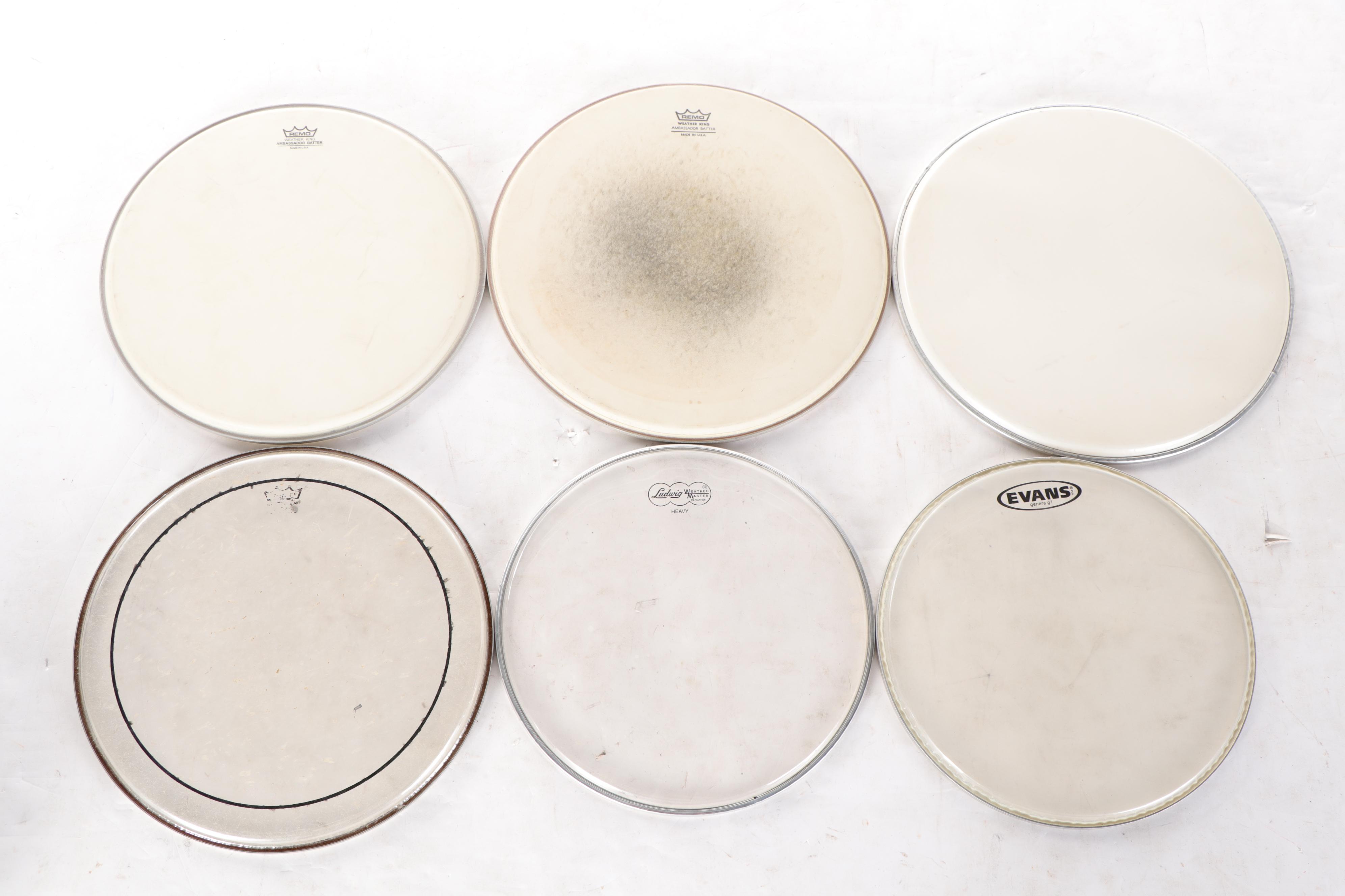 Remo, Thunder, Ludwig, Evans, Yamaha and Other Drum Heads EBTH