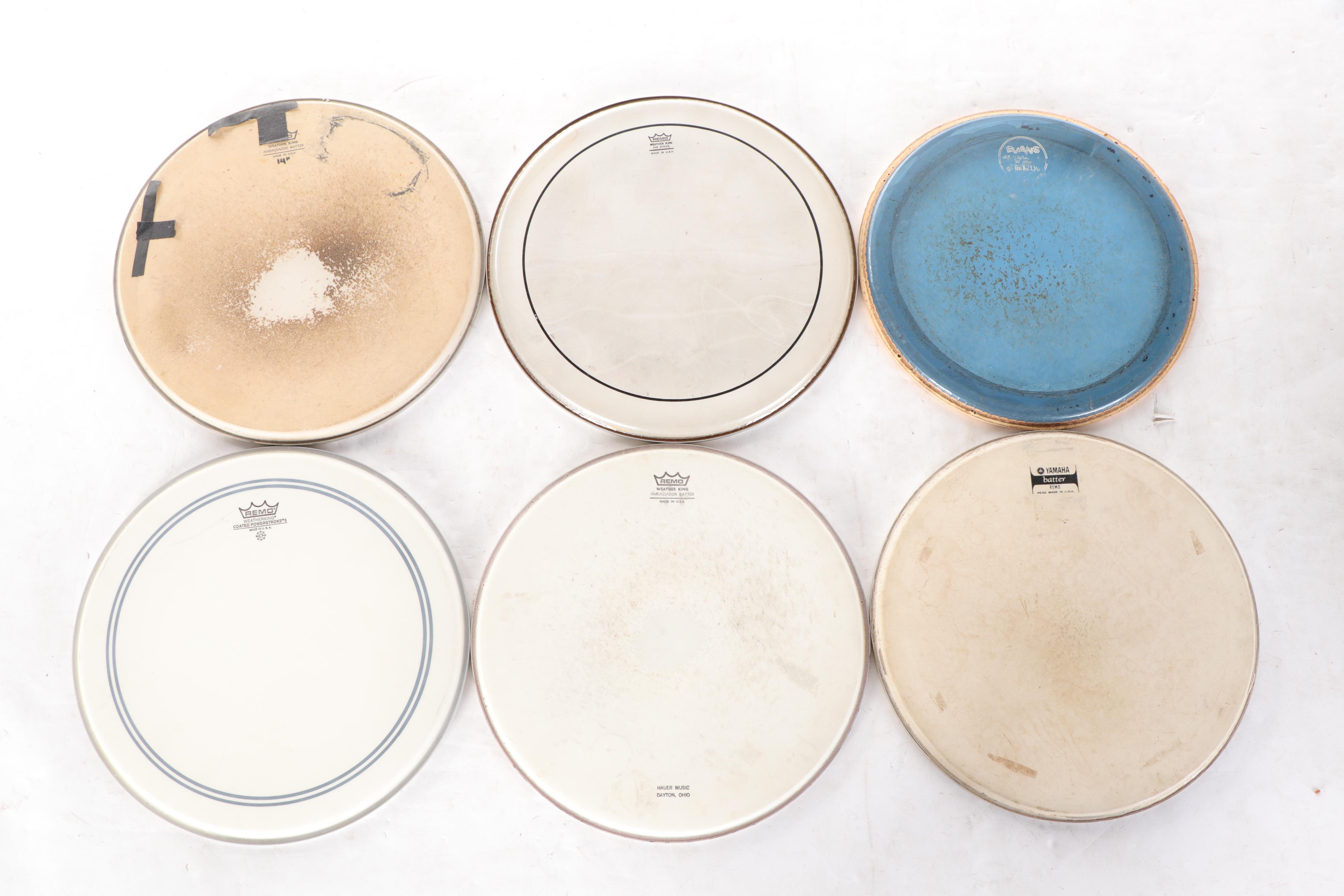Remo, Thunder, Ludwig, Evans, Yamaha and Other Drum Heads EBTH