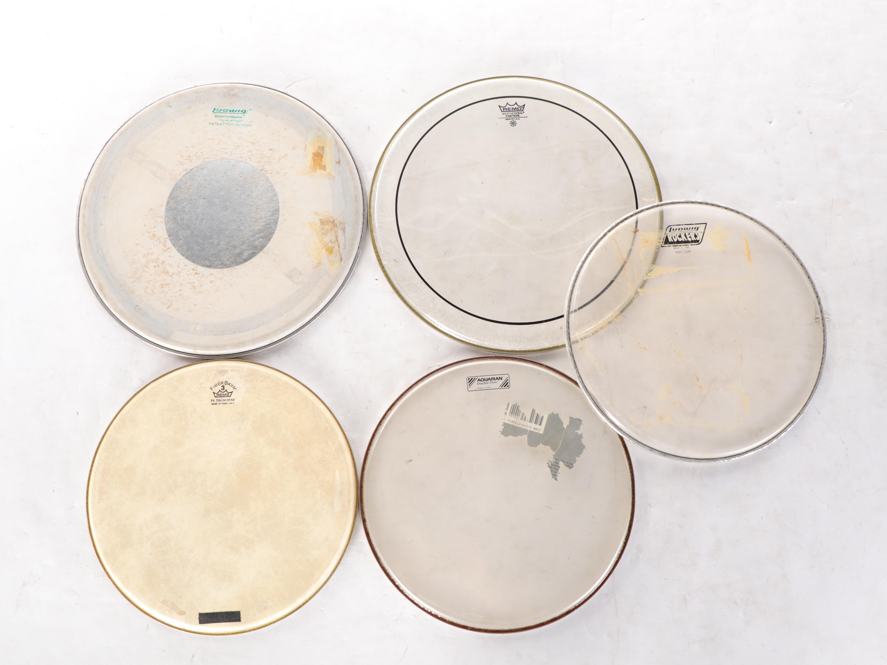 Remo, Thunder, Ludwig, Evans, Yamaha and Other Drum Heads EBTH