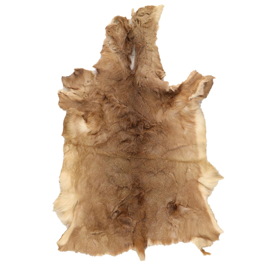 3'4 x 5'5 Natural Tanned White Tail Deer Hide