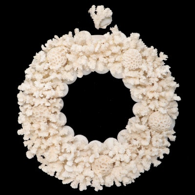 Branching Coral, Honeycomb Coral, and Seashell Handmade Wreath