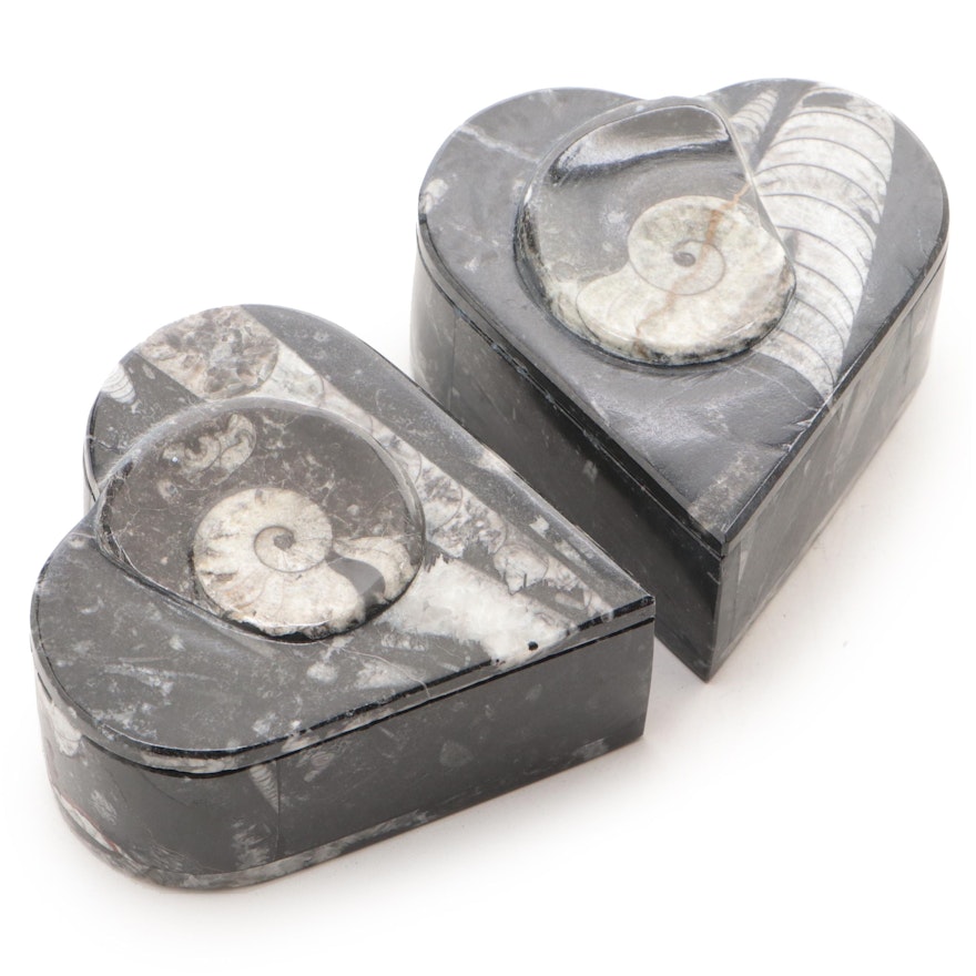 Polished Coiled Ammonite Heart-Shaped Trinket Boxes