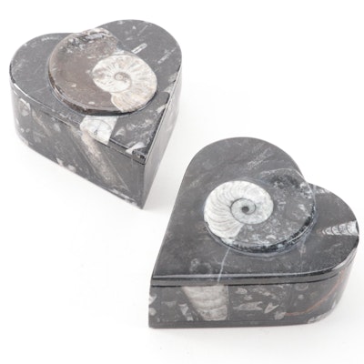 Polished Ammonite Composite Fossil Heart Form Boxes