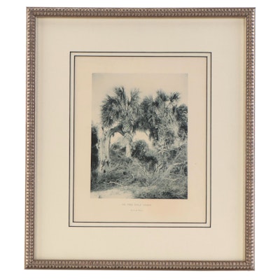 Photogravure After G.M. West "On the Gulf Coast"