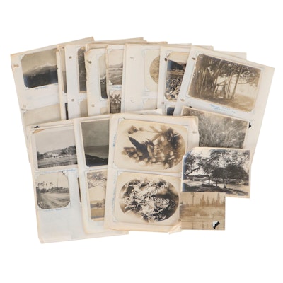 Silver Print and Silver Gelatin Photographs, Late 19th to Early 20th Century