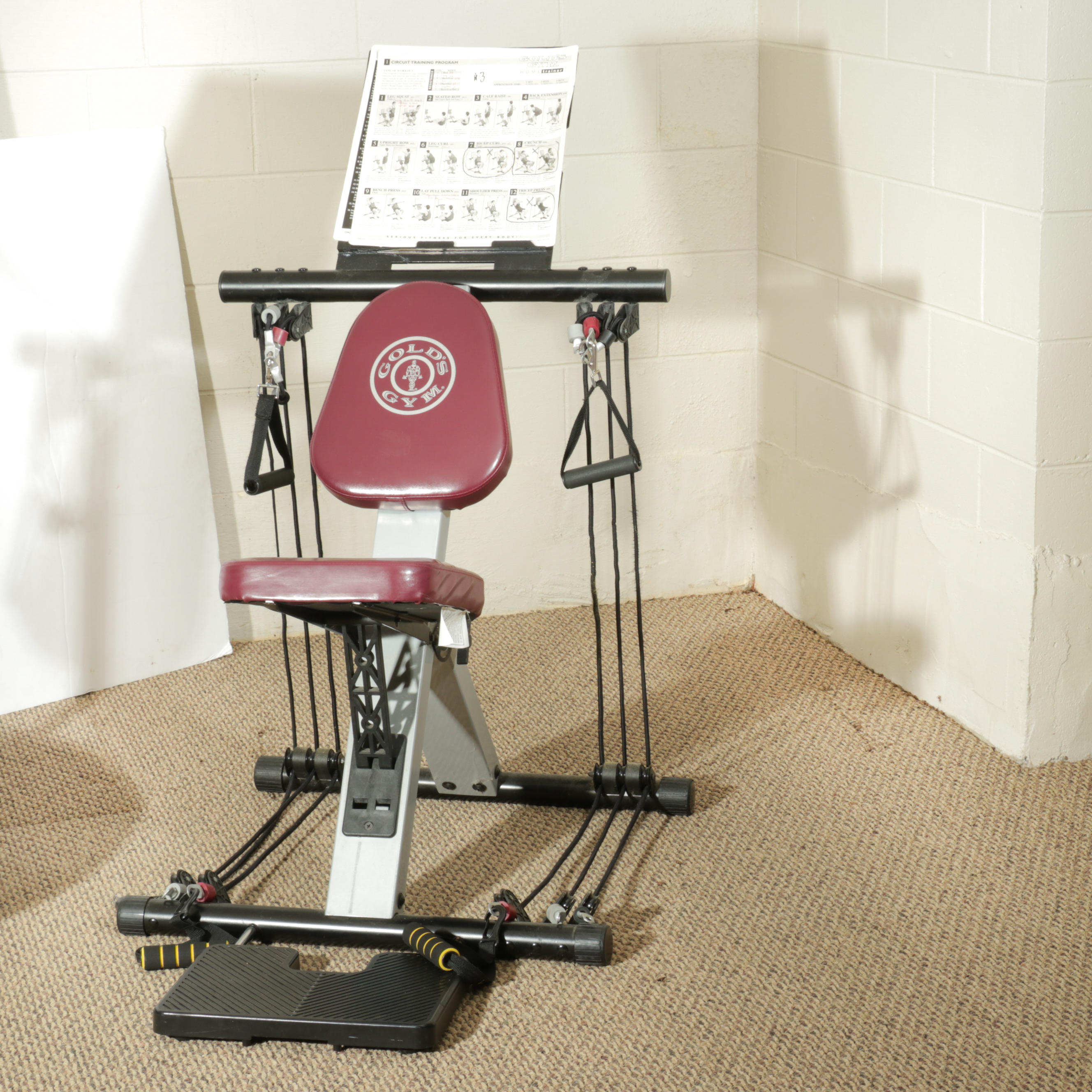 Elite Fitness Inversion Table, Gold's Gym Personal Trainer, Exercise Trampoline EBTH