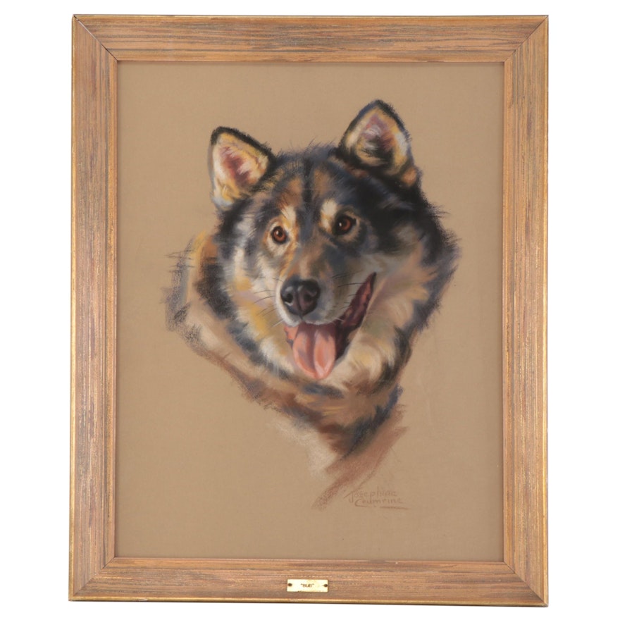 Josephine Crumrine Pastel Portrait of Husky "Bub"
