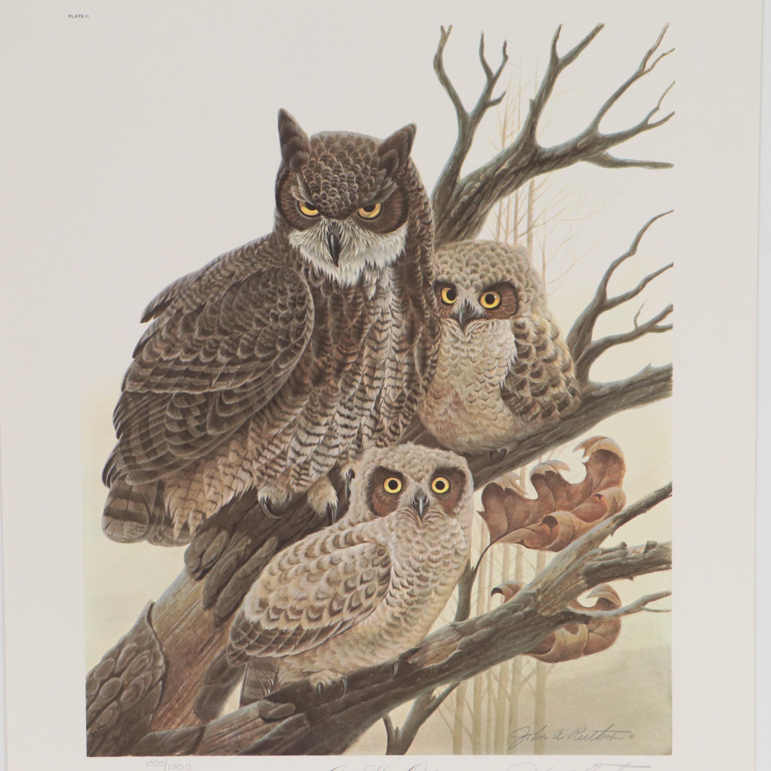John Ruthven Offset Lithograph "Great Horned Owls," 1979 EBTH