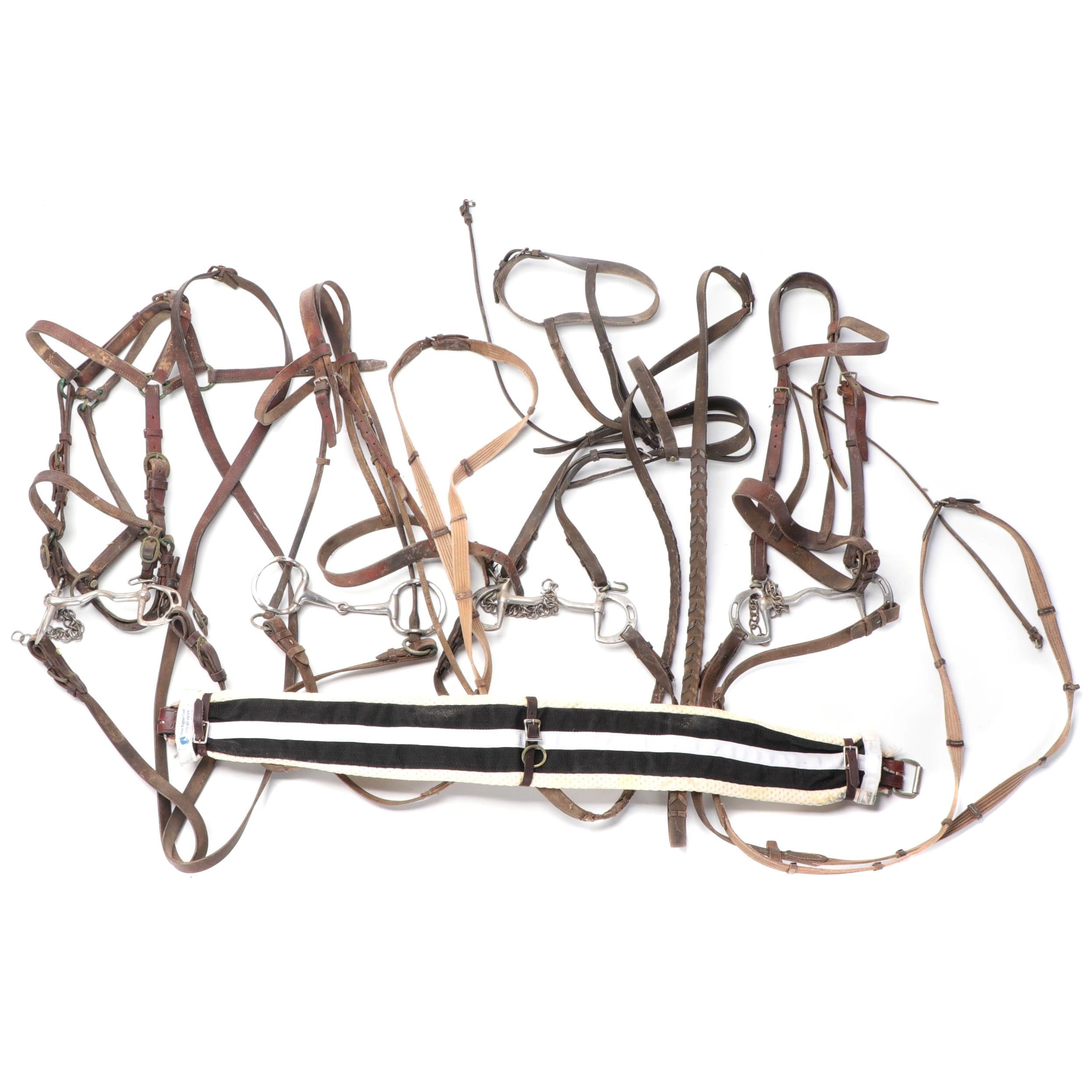 Bridles, Bits, Reins, Girth Strap and More EBTH