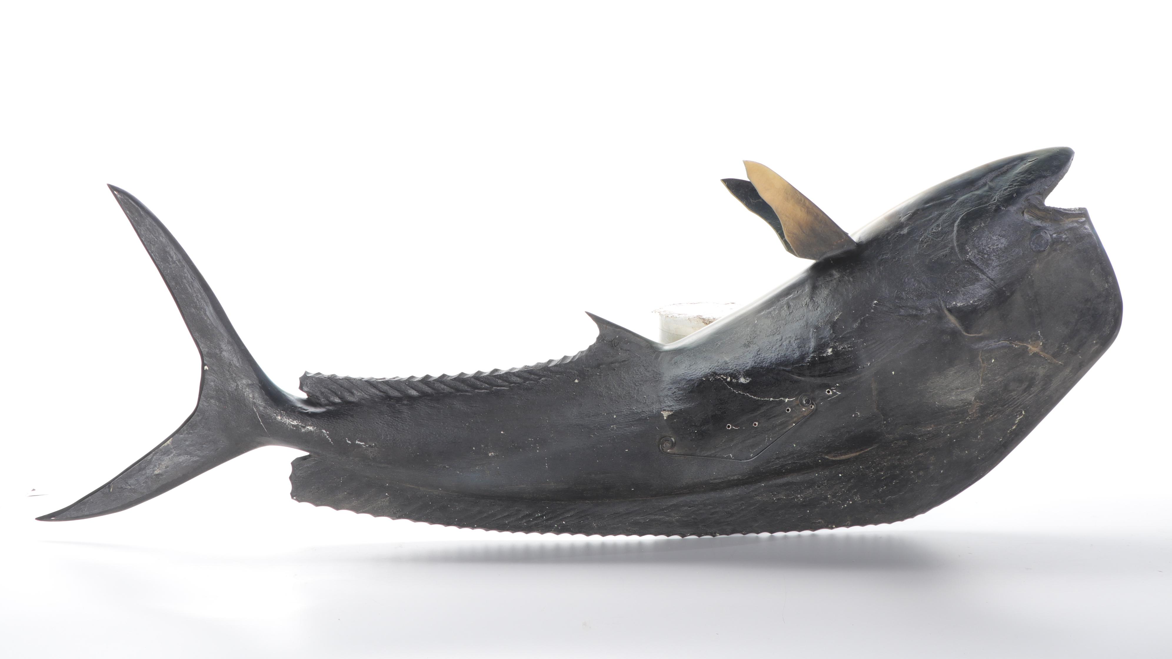 MahiMahi Dolphinfish Taxidermy Mount Replica EBTH