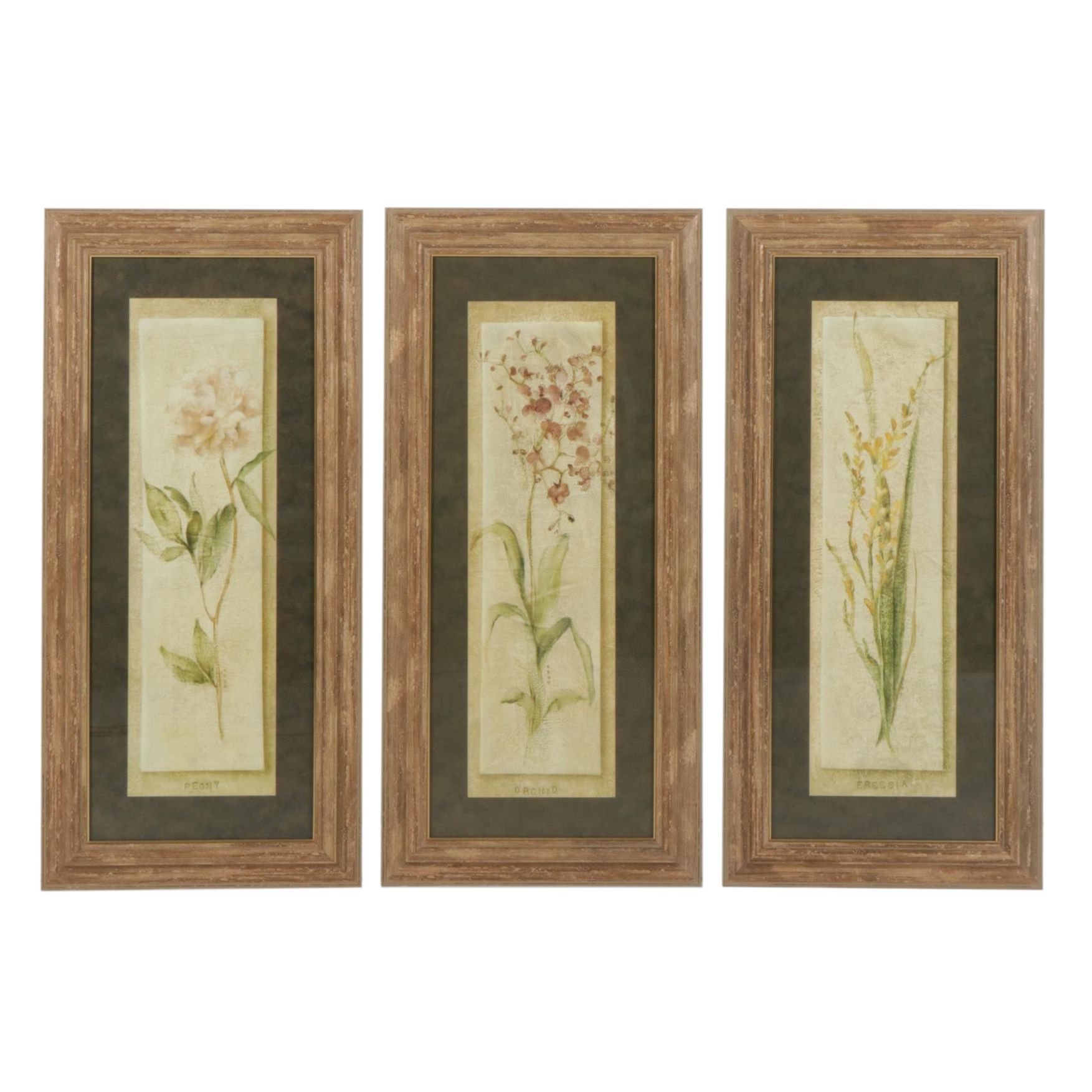 Botanical Offset Lithographs EBTH