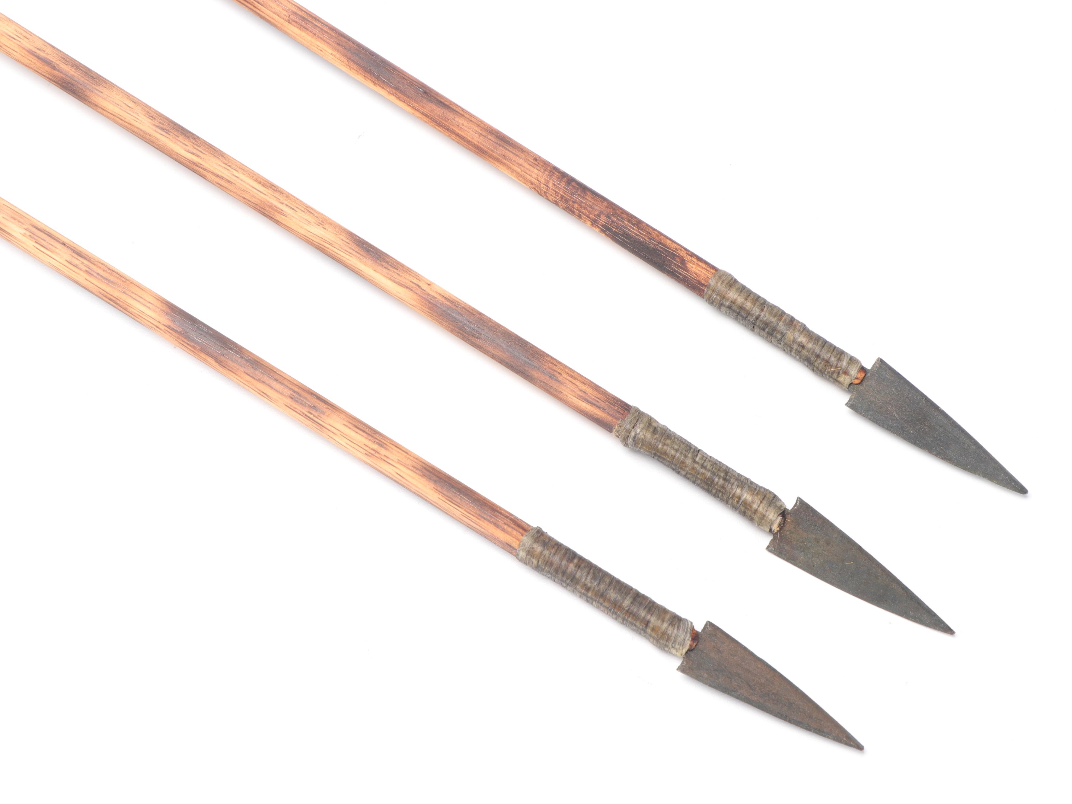 Leather Quiver and Bow Adorned with Fox Pelt | EBTH