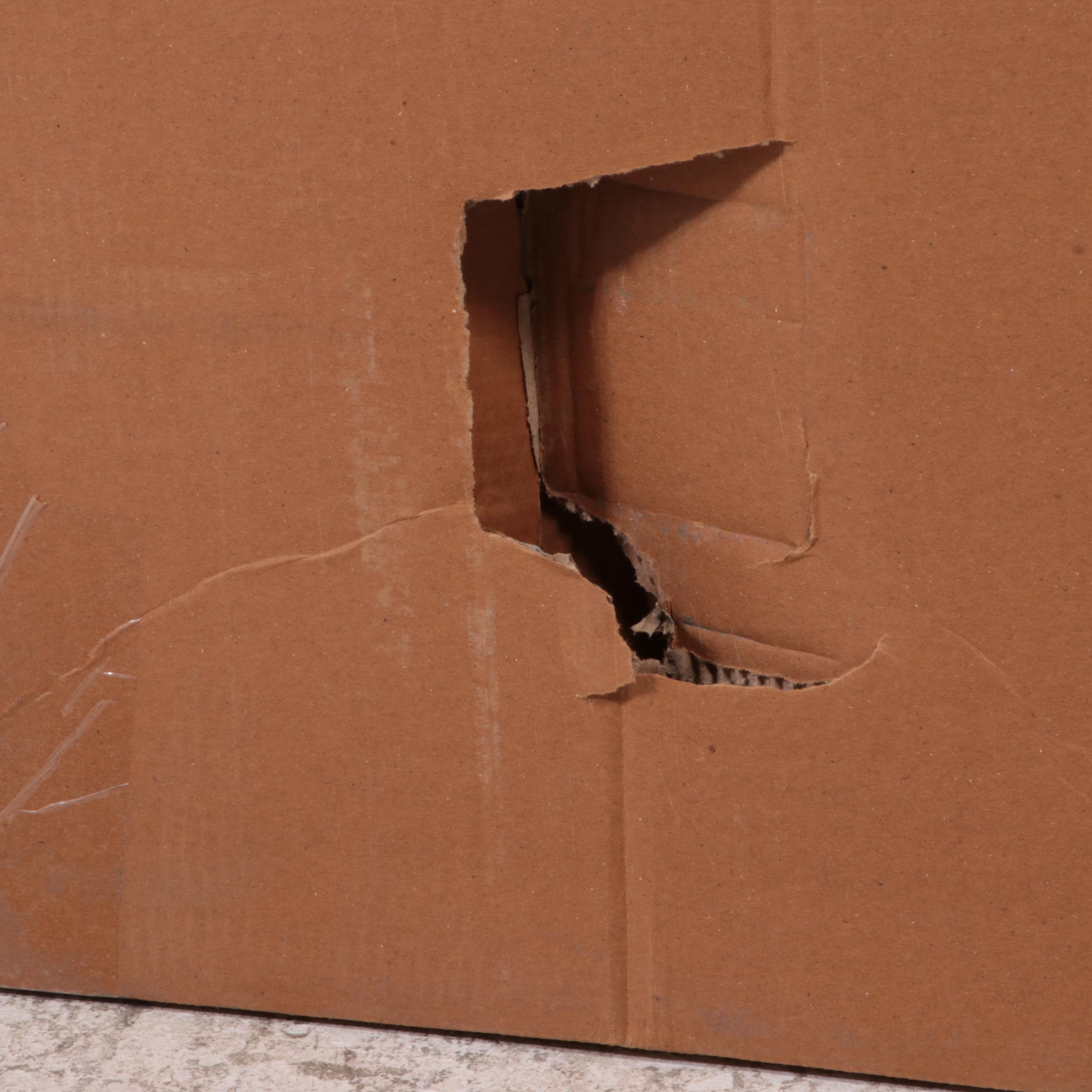 Project 62 Glasgow Horizontal Metal Open Shelf Bookshelf in Black EBTH