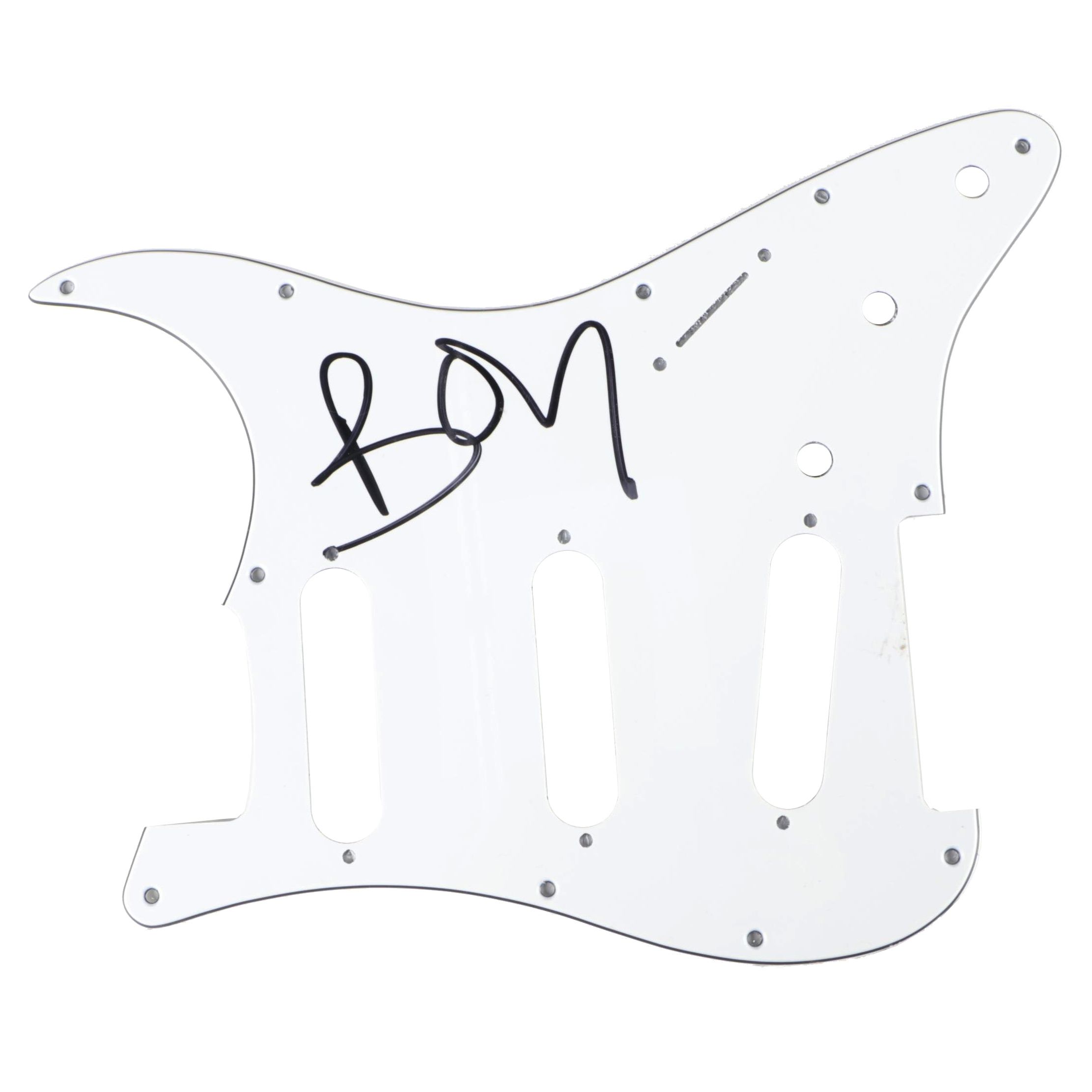 Signed Boy Guitar Pickguard EBTH