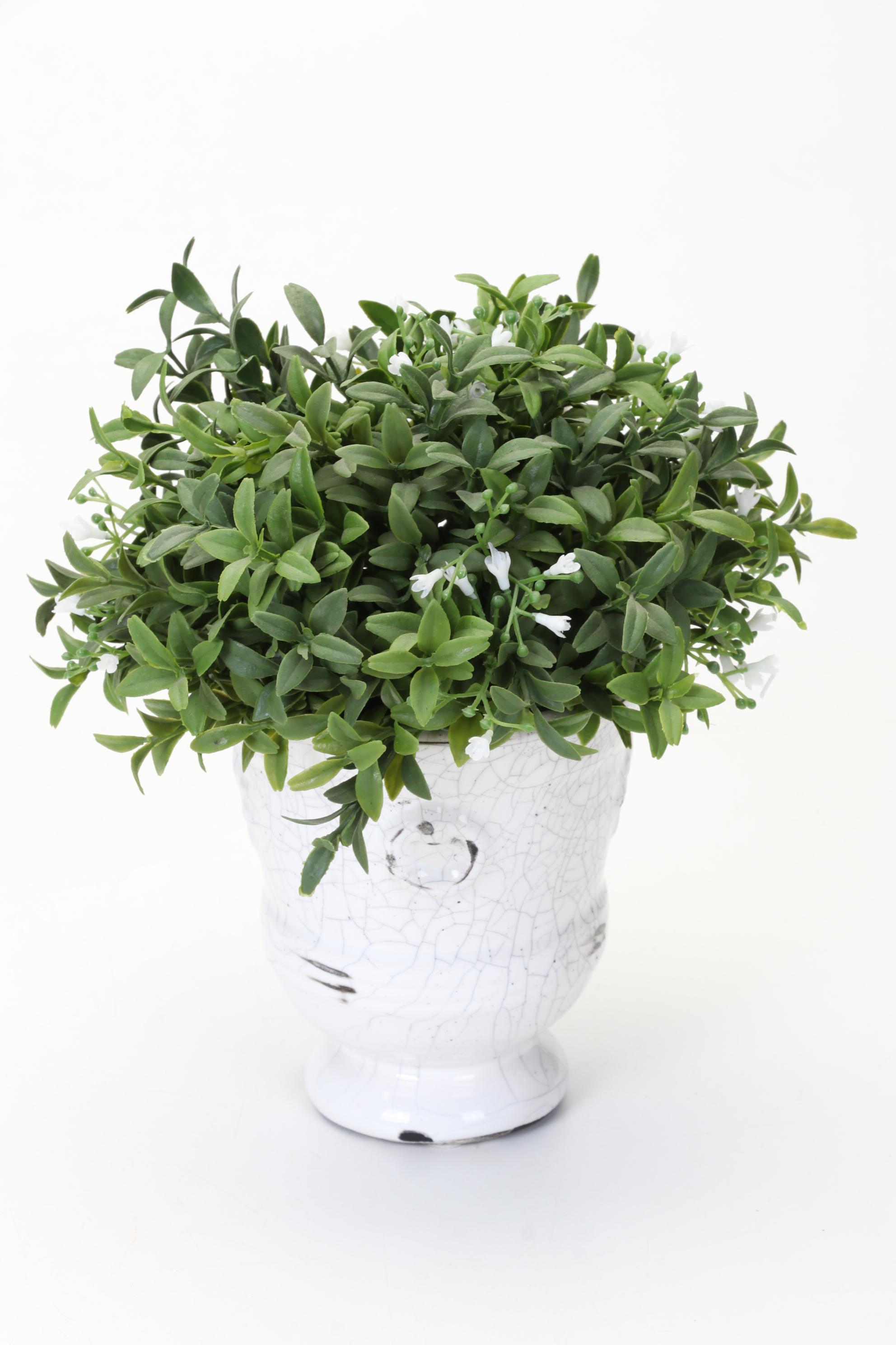 Williams Sonoma "Rustic Italian" Pasta Bowl, With Topiary Urns, Blown