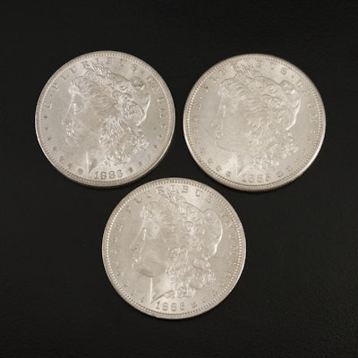 Three Morgan Silver Dollars Including an 1883-O