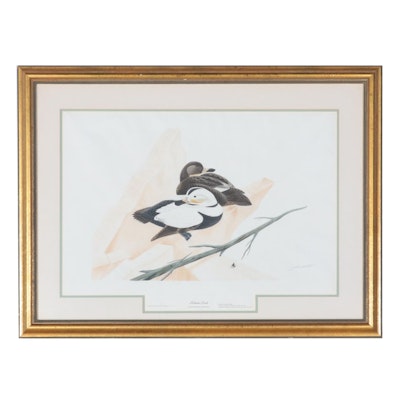 John Ruthven Hand-Colored Aquatint Engraving "Labrador Duck"