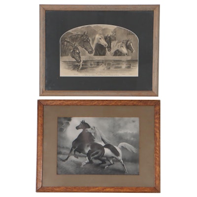 Horse Genre Art Including Wood Engraving and Halftone