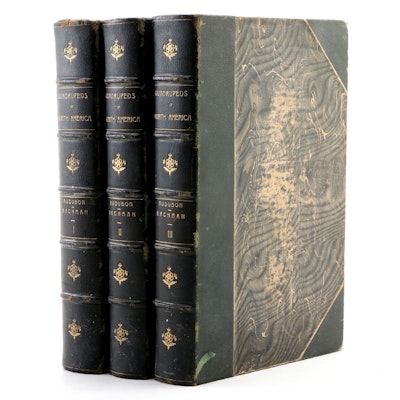 "The Quadrupeds of North America" Three-Volume Set by John James Audubon, 1856