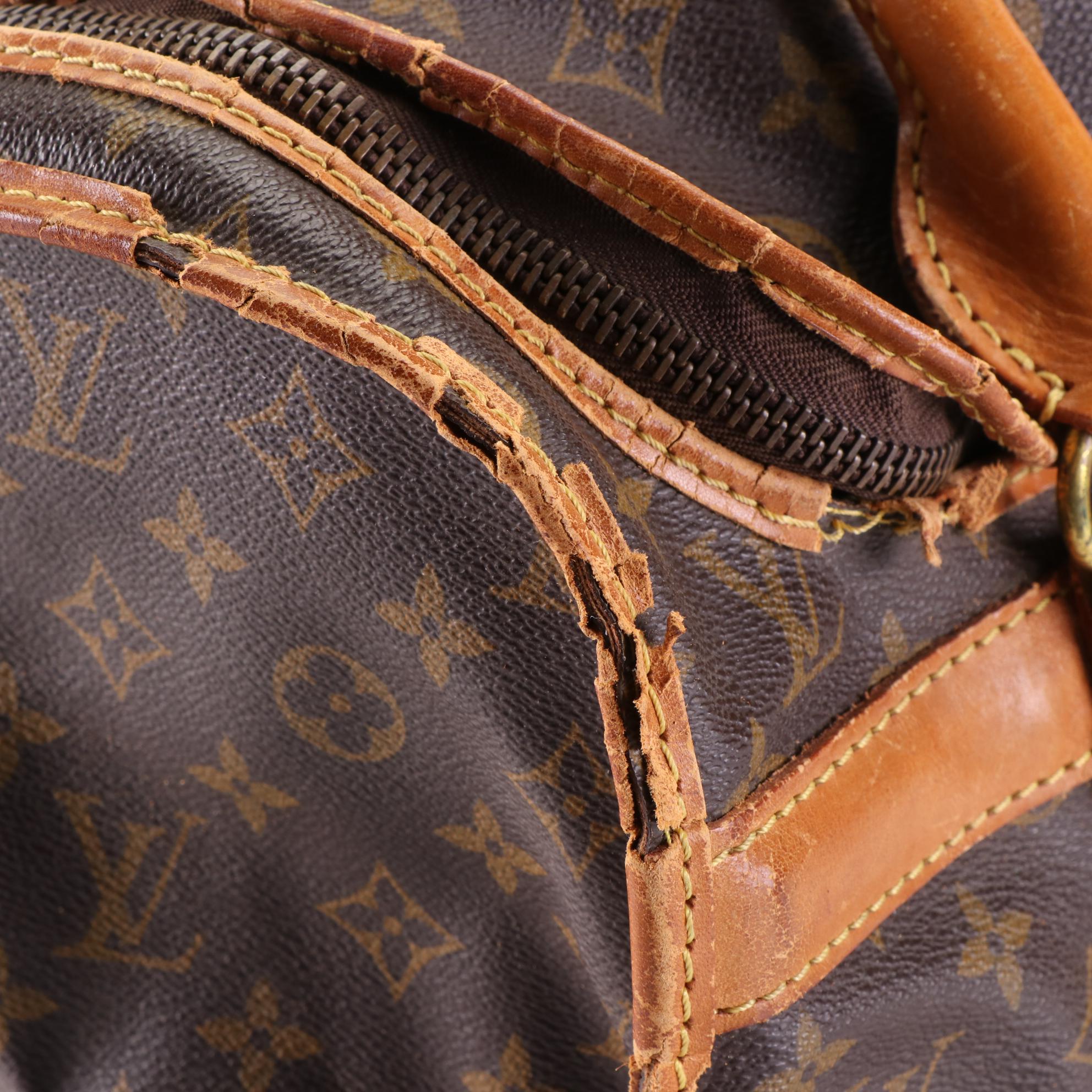 Louis Vuitton Sac Chien 40 Dog Carrier in Monogram Canvas and Vachetta Leather EBTH
