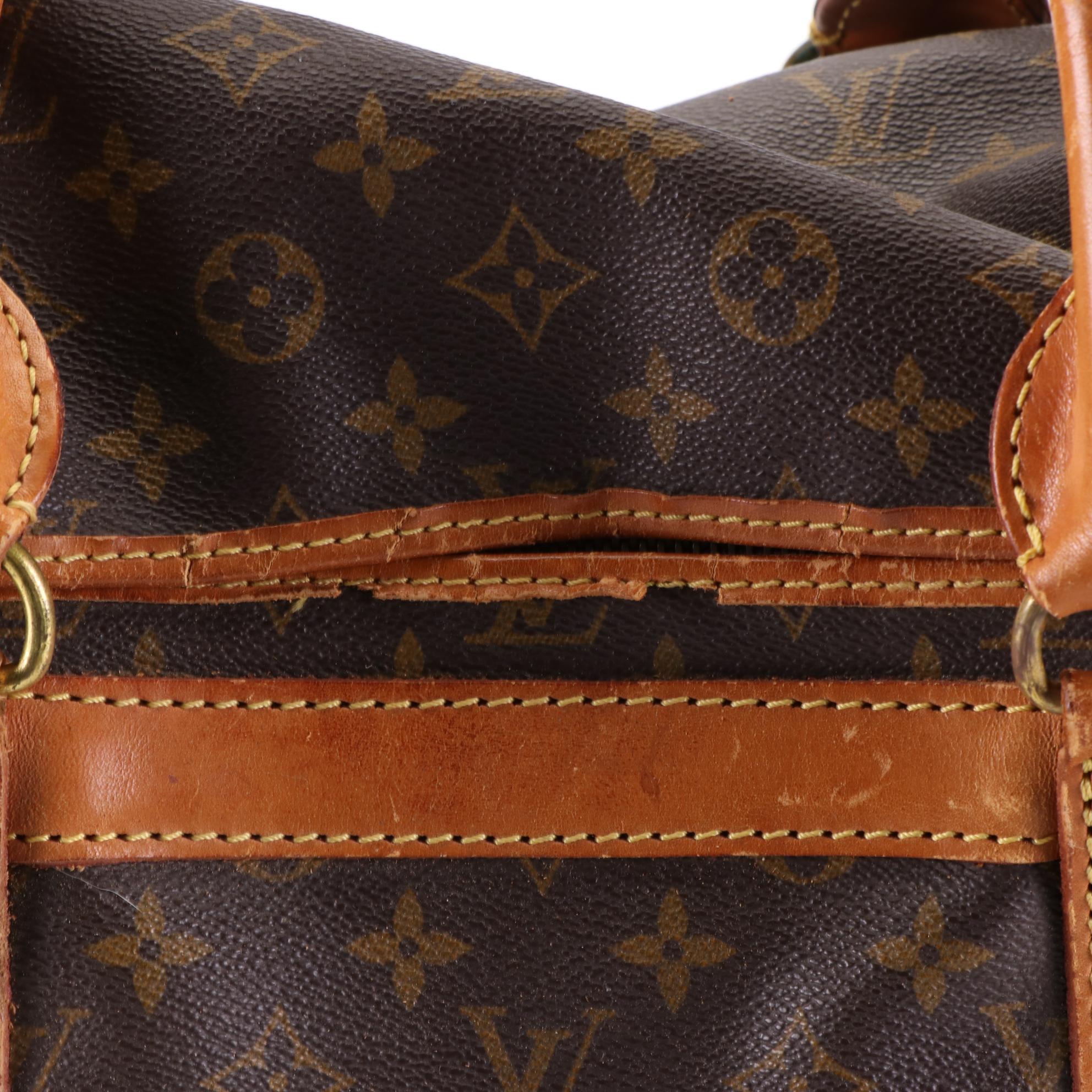 Louis Vuitton Sac Chien 40 Dog Carrier in Monogram Canvas and Vachetta Leather EBTH