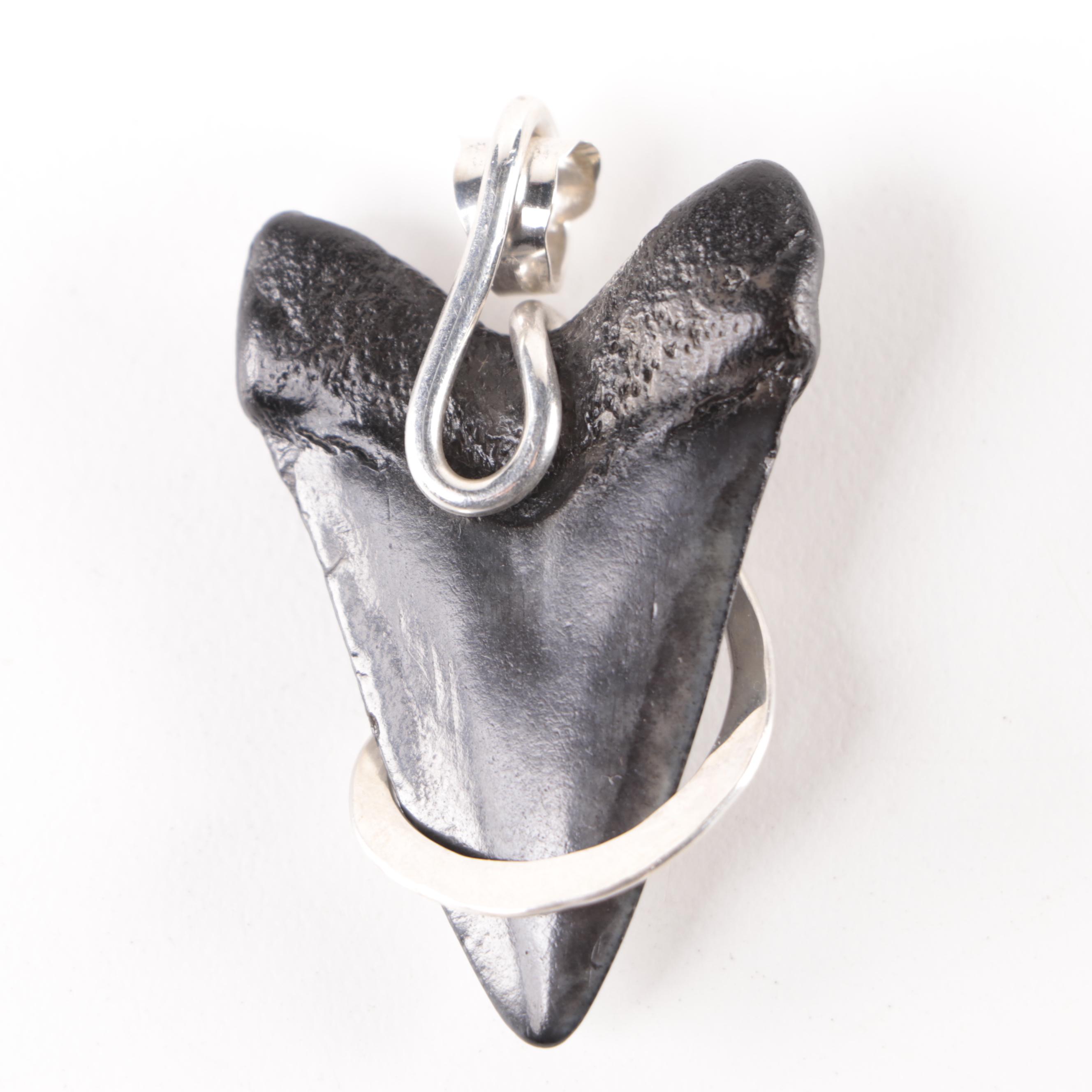 Megalodon Tooth Specimen with Display Stand and Megalodon Tooth Pendant EBTH