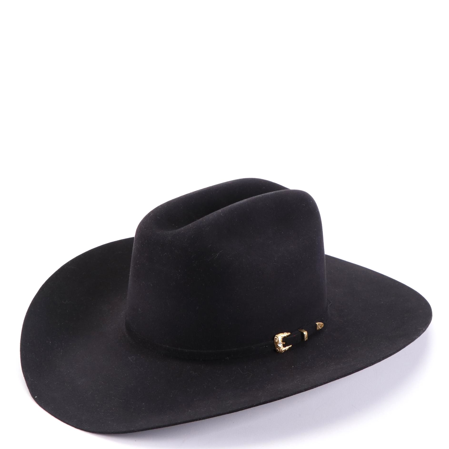 Rodeo King PRO-20X Beaver Fur Felt Western Hat with Hat Box | EBTH