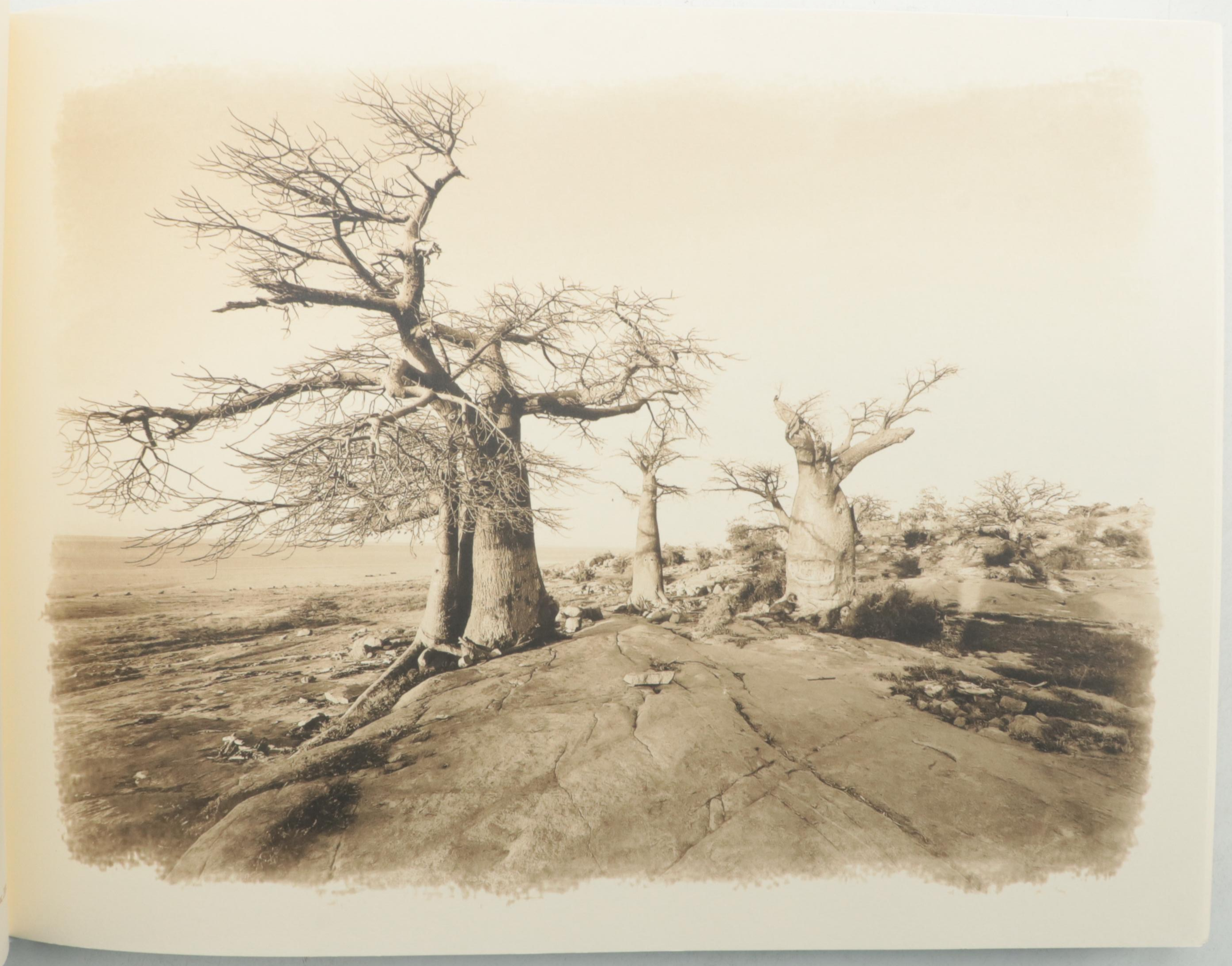 First Edition "Classic Africa" by Michael Poliza, 2010 EBTH