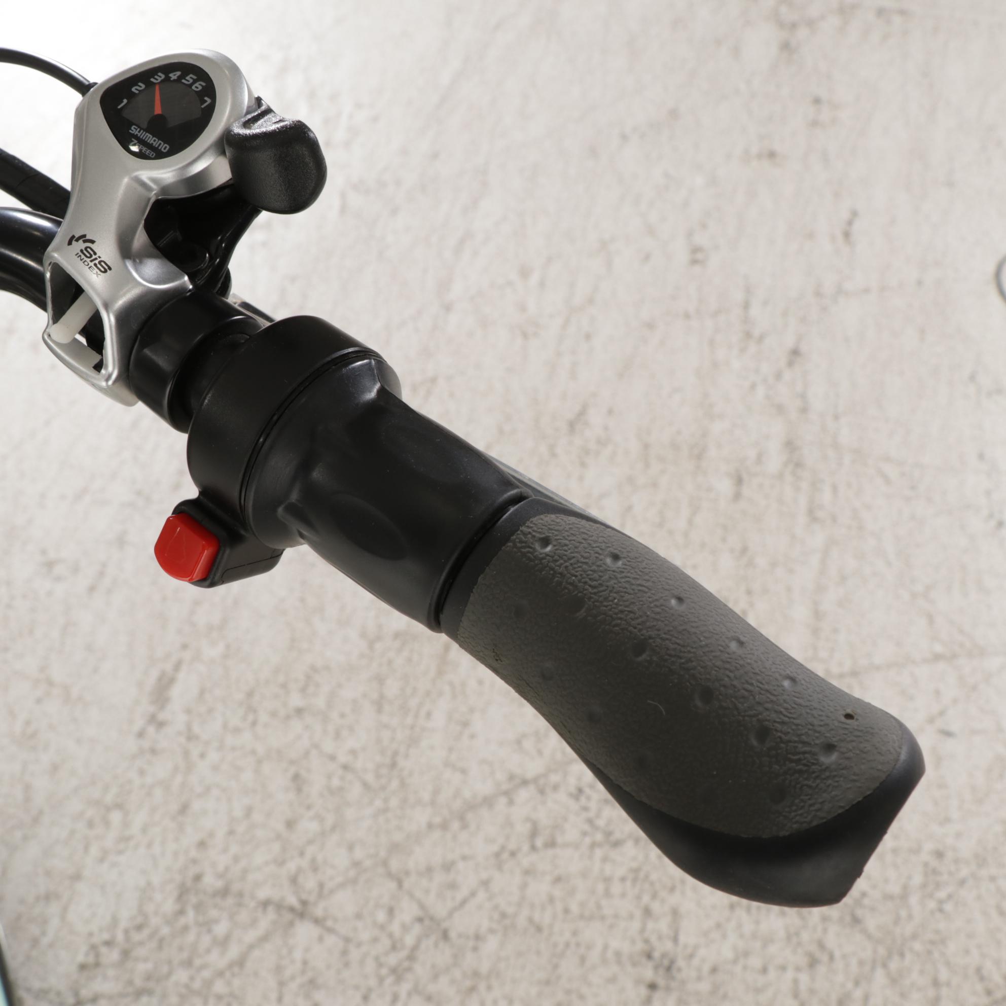 big cat long beach cruiser xl