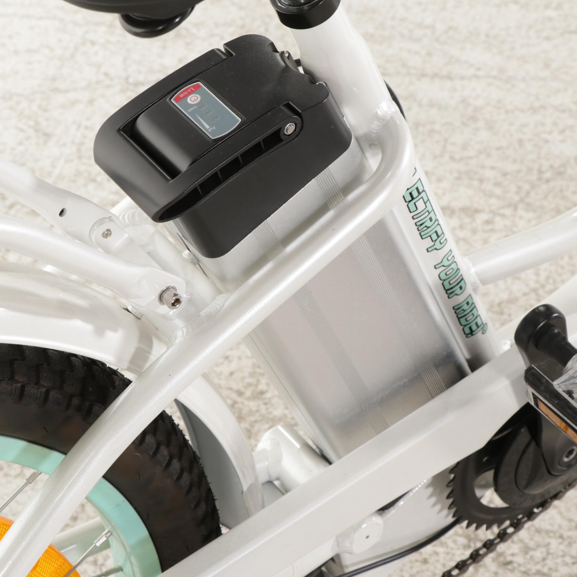 big cat long beach cruiser xl