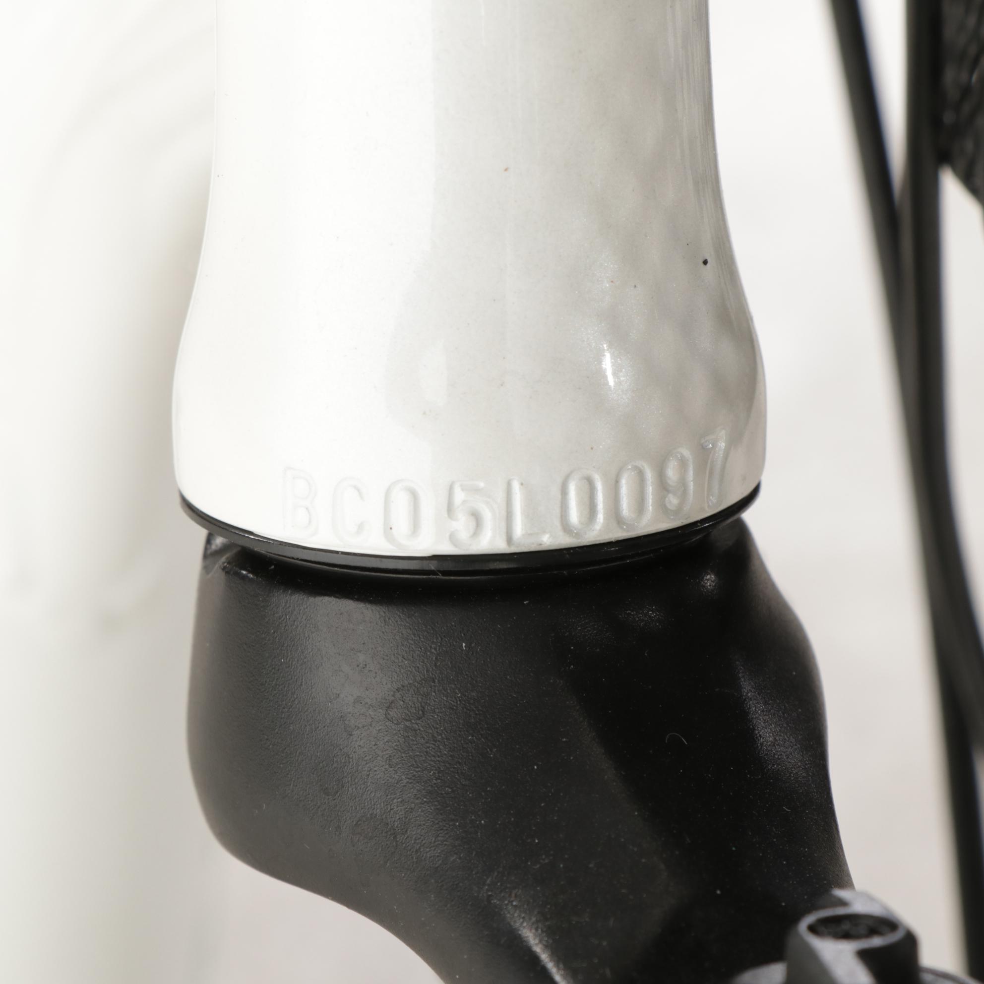 big cat long beach cruiser xl